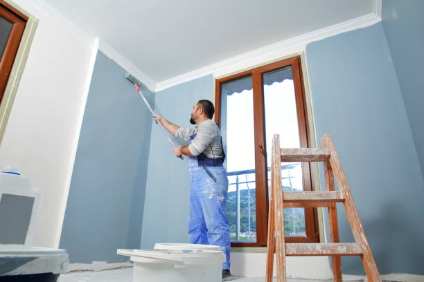 Forensic Mold Investigation in East Aurora, NY
