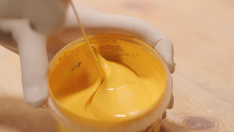 East Aurora, NY Mold Removal Company