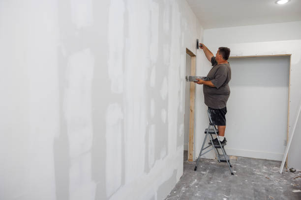 Best Mold-Related Health Consultation  in East Aurora, NY