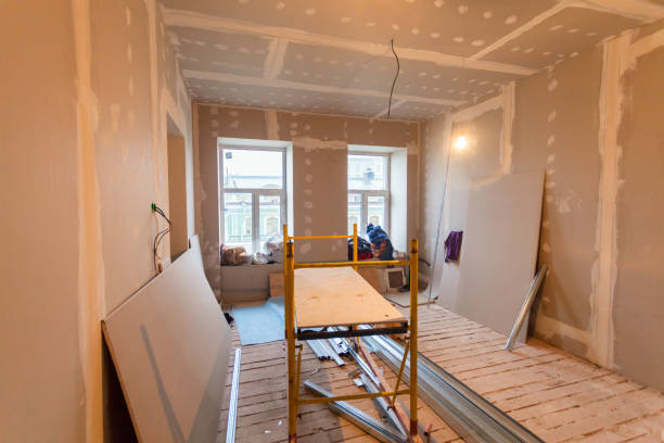 Best Basement Mold Removal  in East Aurora, NY